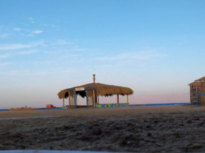 Hotels in Nuwaiba